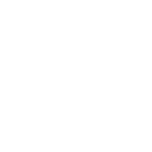 ISN logo. NBW Inc.